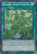 激怒する狂植物 [BP03-EN165] シャッターフォイル レア