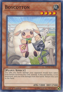 Boicot [MP19-EN018] Común 