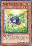 Mosca de la fruta Naturia [DT03-EN071] común 