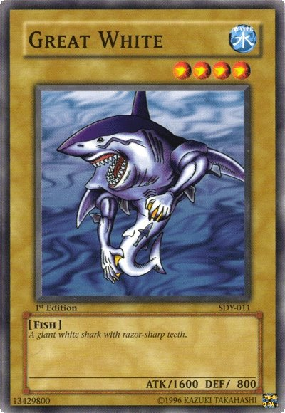 Gran tiburón blanco [SDY-011] Común 