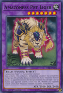 Ligre mascota amazona [CIBR-EN094] común 