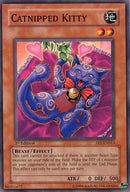 Gatito con hierba gatera [FET-EN013] Común 