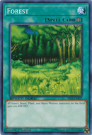 Bosque [SS03-ENB17] Común 