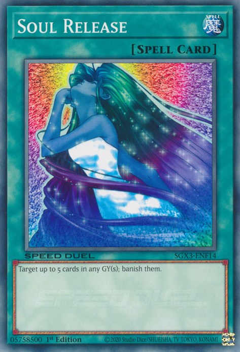 Liberación del alma [SGX3-ENF14] Común 