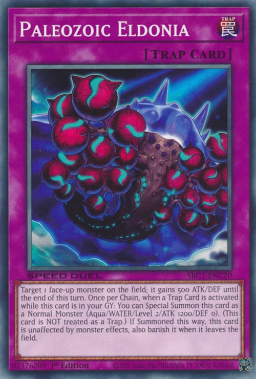 Eldonia paleozoica [SBC1-ENC20] común 