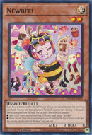 Newbee! [ROTA-EN029] Common