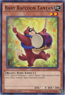 Bebé mapache Tantan [MP14-EN137] Común 