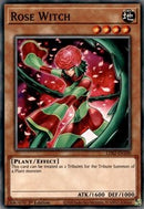 Bruja Rosa [LDS2-EN100] Común 