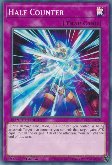 Contador de medio calibre [SGX3-END20] Común 