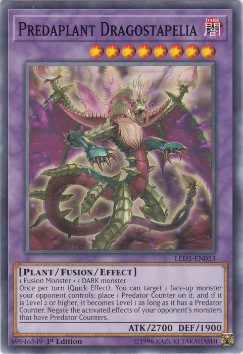 Predaplanta Dragostapelia [LED5-EN053] Común 