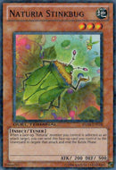 Chinche apestosa Naturia [DT04-EN078] común 