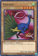 Pavo real (25.º aniversario) [SRL-EN011] Común 