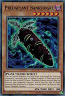 捕食植物バンクシオーガ [COTD-EN016] コモン