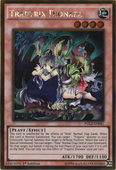 Traptrix Dionaea [PGL2-EN041] Oro Raro 