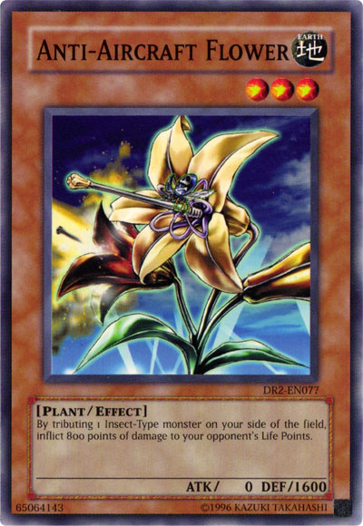 Flor antiaérea [DR2-EN077] común 