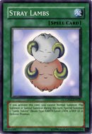 Corderos extraviados [CP02-EN020] Común 