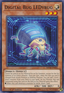 Insecto digital LEDybug [MP18-EN006] Común 
